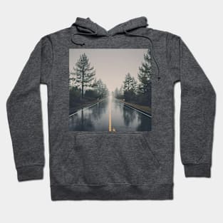 Beautiful view Hoodie